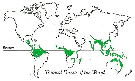 Geography - Tropical Rain Forests